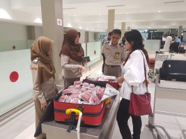 Ancam Peternak Babi, Kementan Perketat Pengawasan ASF di Selat Malaka