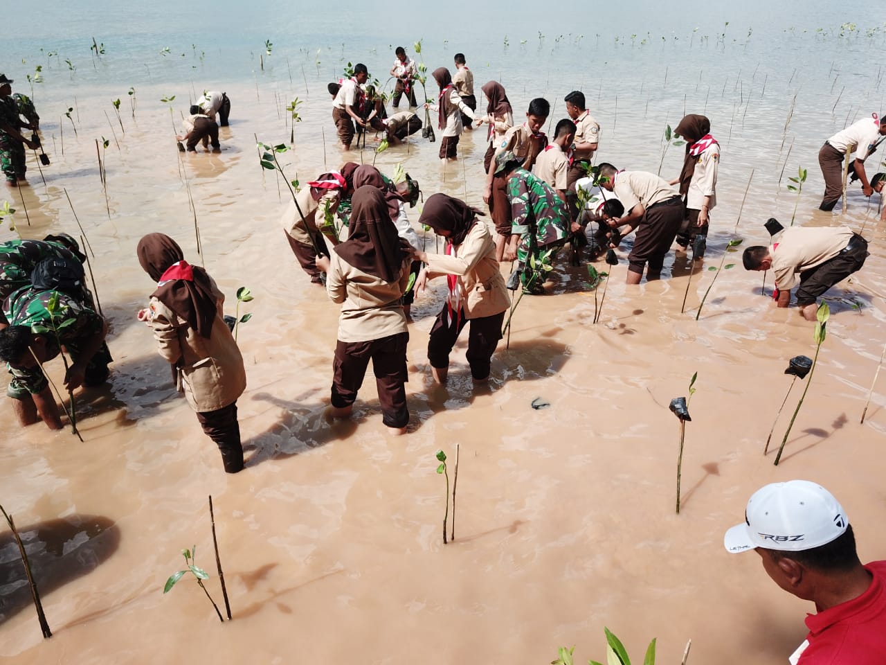 1000 Personel TNI Polri Instansi Pemerintah Dan Masyarakat Pecahkan Rekor Muri Tanam Mangrove