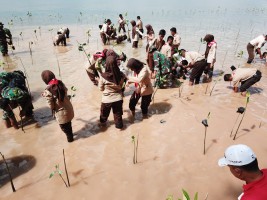 1000 Personel TNI Polri Instansi Pemerintah Dan Masyarakat Pecahkan Rekor Muri Tanam Mangrove