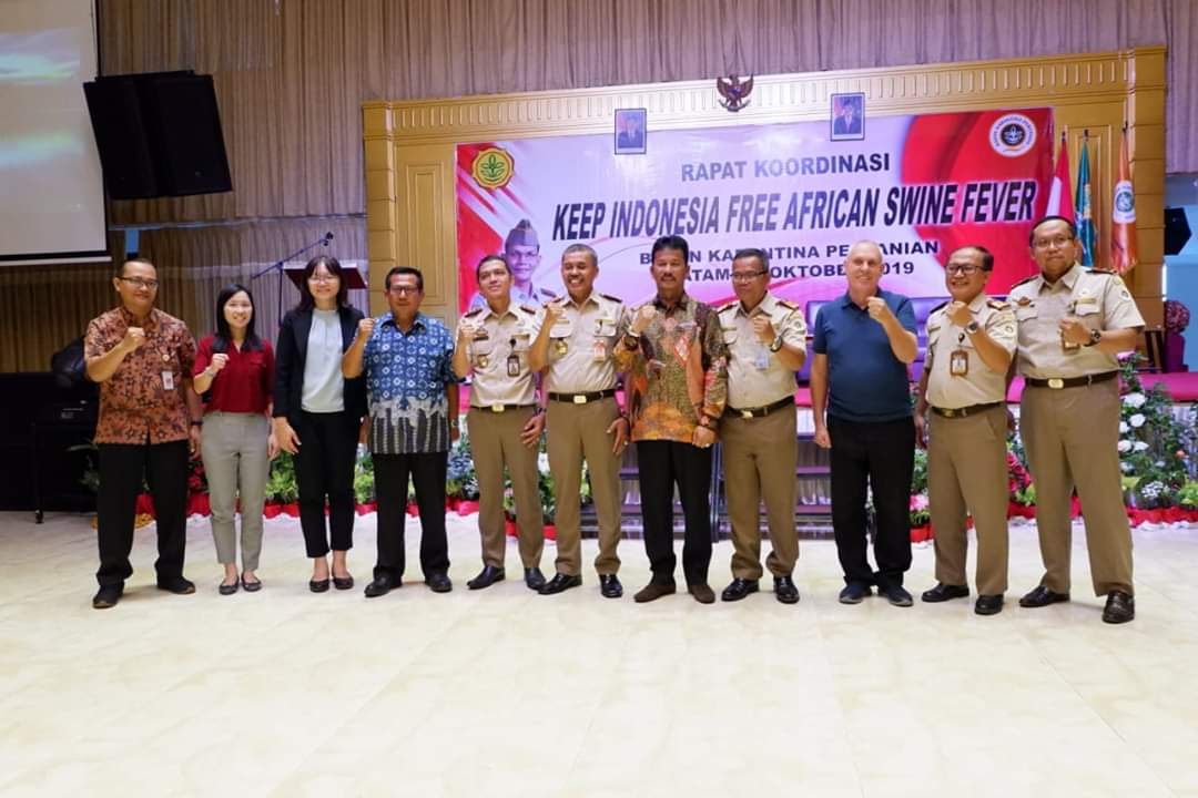 Kementan Lepas Ekspor 985 Babi dari Kepri  Tujuan Singapura