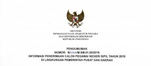 Pemerintah Umumkan Rencana Pembukaan Seleksi CPNS 2019