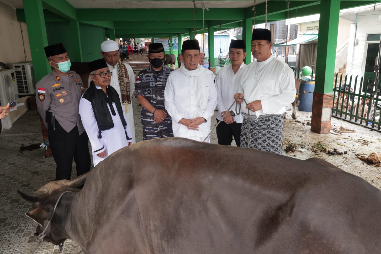 Masyarakat Anambas Bersukacita dapat Sapi Kurban dari Presiden RI Joko Widodo