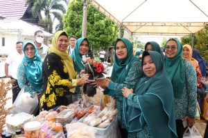 Dewi Ansar Hadiri Lomba Cipta Menu B2SA Tingkat Kabupaten Bintan Tahun 2022