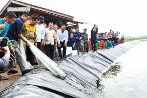 Gubernur Kepri Ansar Ahmad Kunjungi Lingga, Apresiasi Budidaya Udang Vaname di Desa Tinjul