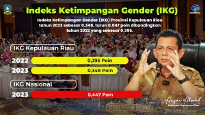 Indeks Ketimpangan Gender Kepri Turun Menjadi 0,348 Poin, Lebih Baik dari Angka Nasional