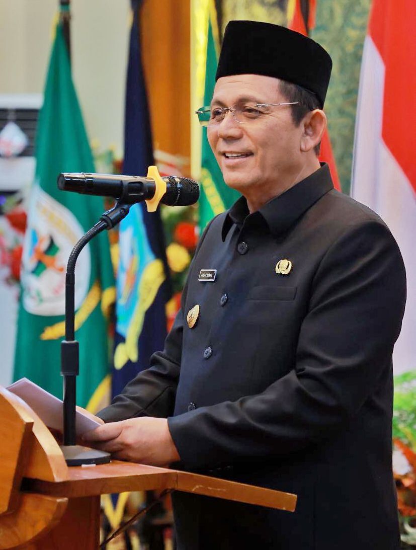 Alasan Gubernur Ansar Ahmad agar Short Term Visa Diterapkan di Kepri