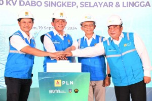 Gubernur Ansar Resmikan Pengoperasian Tower Crossing di Kawasan Pesisir Batam, Bintan, dan Lingga