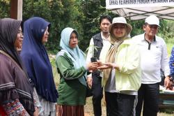 Pemprov  Kepri Bagikan Bibit Cabai Gratis, Galakkan Pemanfaatan Perkarangan Rumah