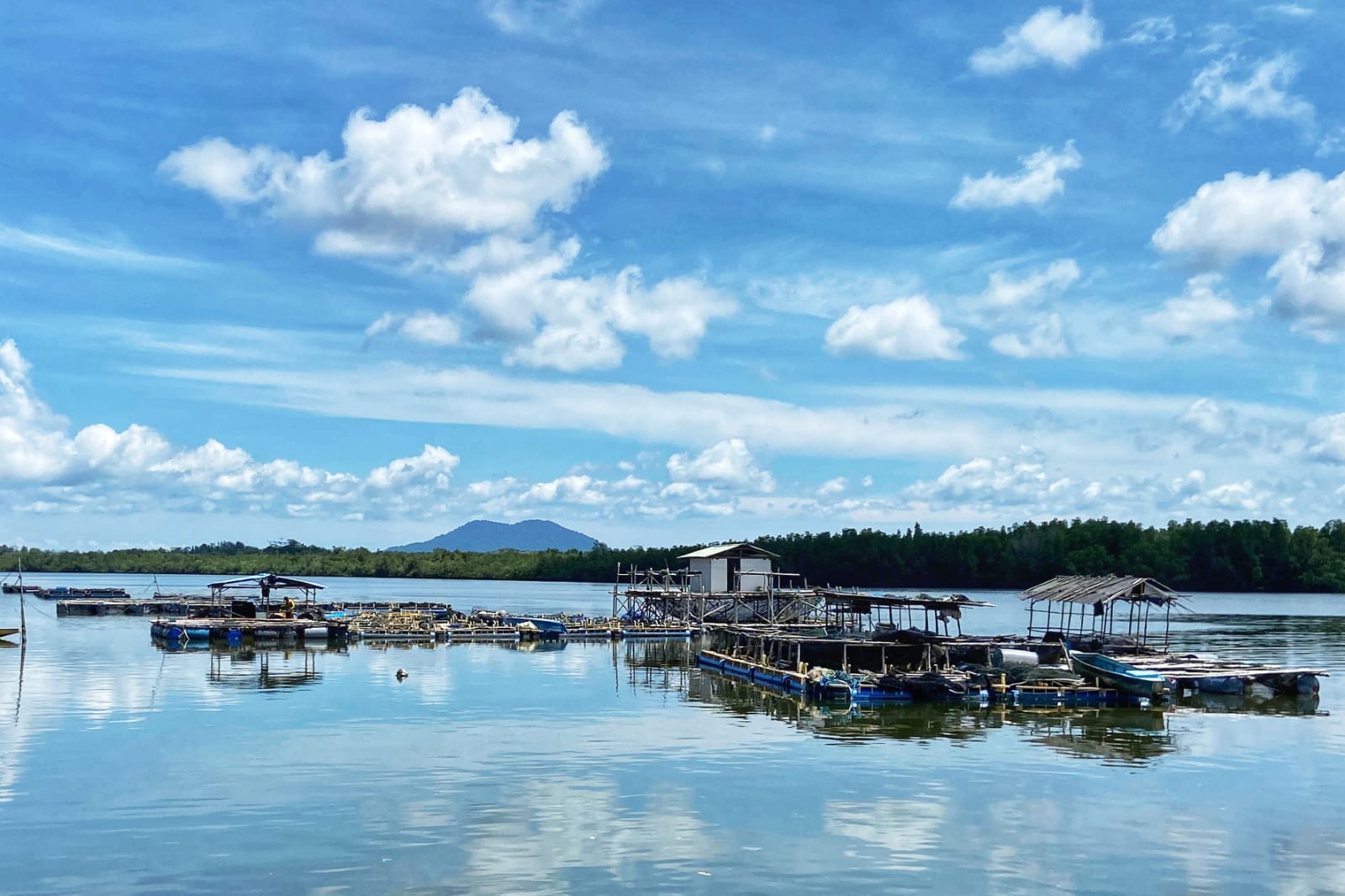 Madong Menyusul Pengudang Sebagai Objek Kawasan Ketahanan Pangan Maritim Kepri