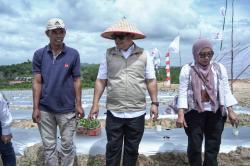 Hadiri Penanaman Cabai Perdana di Galang Baru, Wagub Nyanyang: "Pemprov Kepri Dorong Kemandirian Pangan"